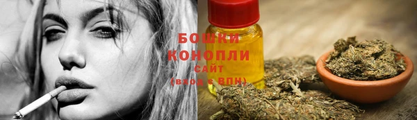 гашик Беломорск