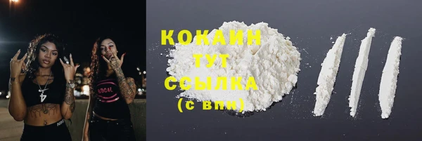 гашик Беломорск