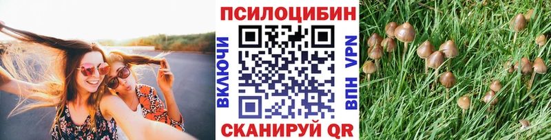 Псилоцибиновые грибы MAGIC MUSHROOMS  Александровское 